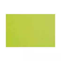 Set de table Spunbond Lime 30x40cm